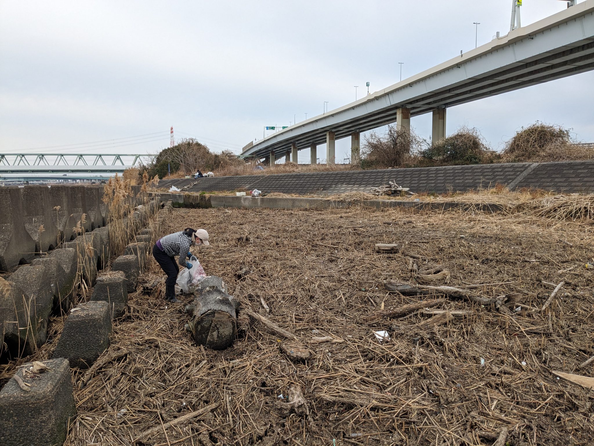 PXL_20250216_070536700 – Tokyo River Friends